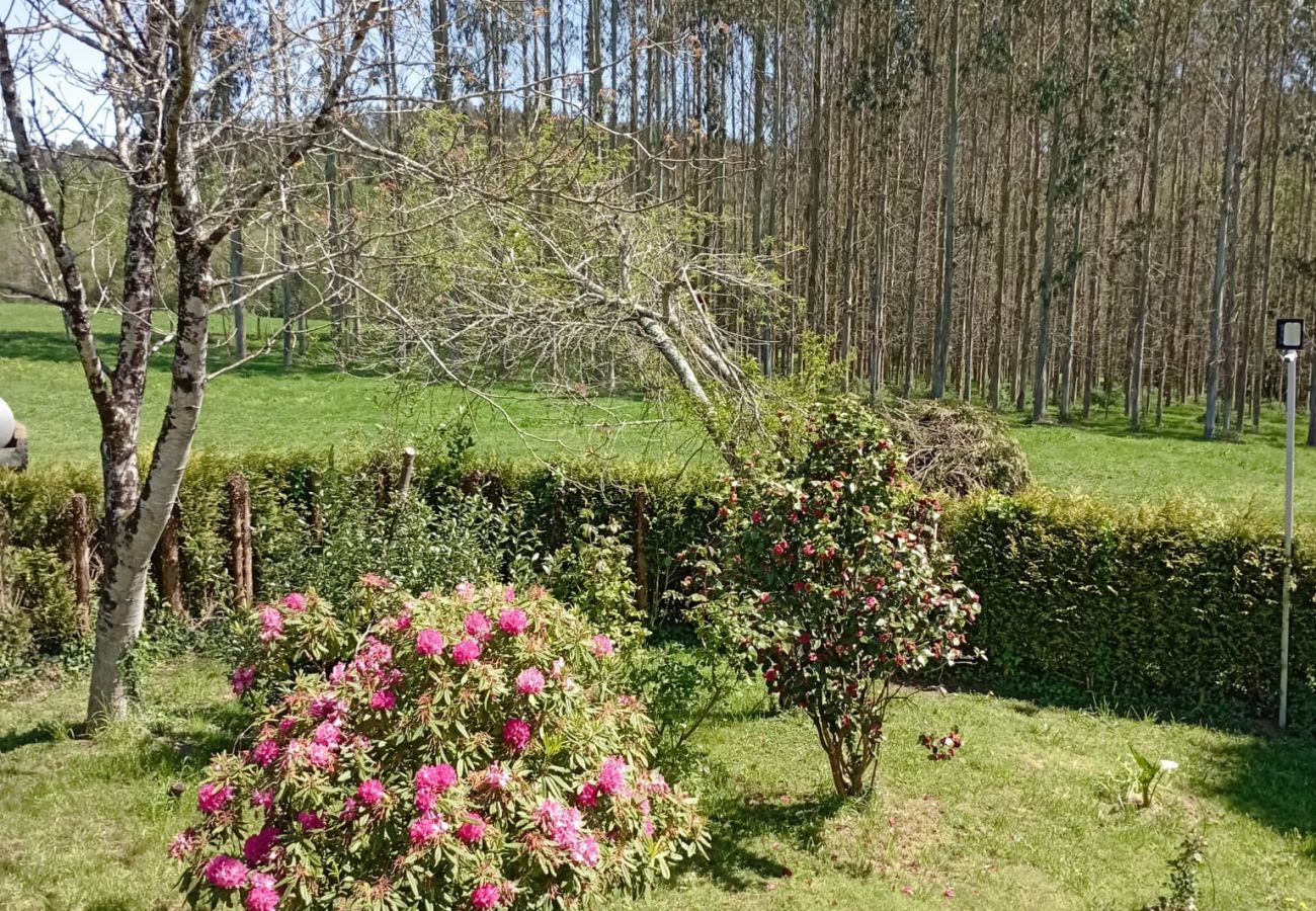 Rent by room in Santiago de Compostela - Ordes Room 6