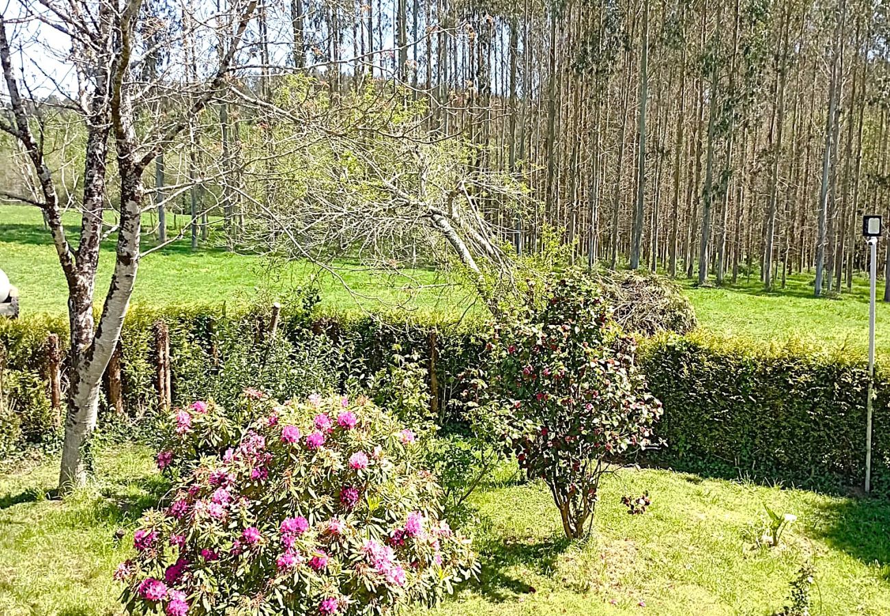 Affitto per camere a Ordes -  A casa do San Paio de Buscàs Habitación 1