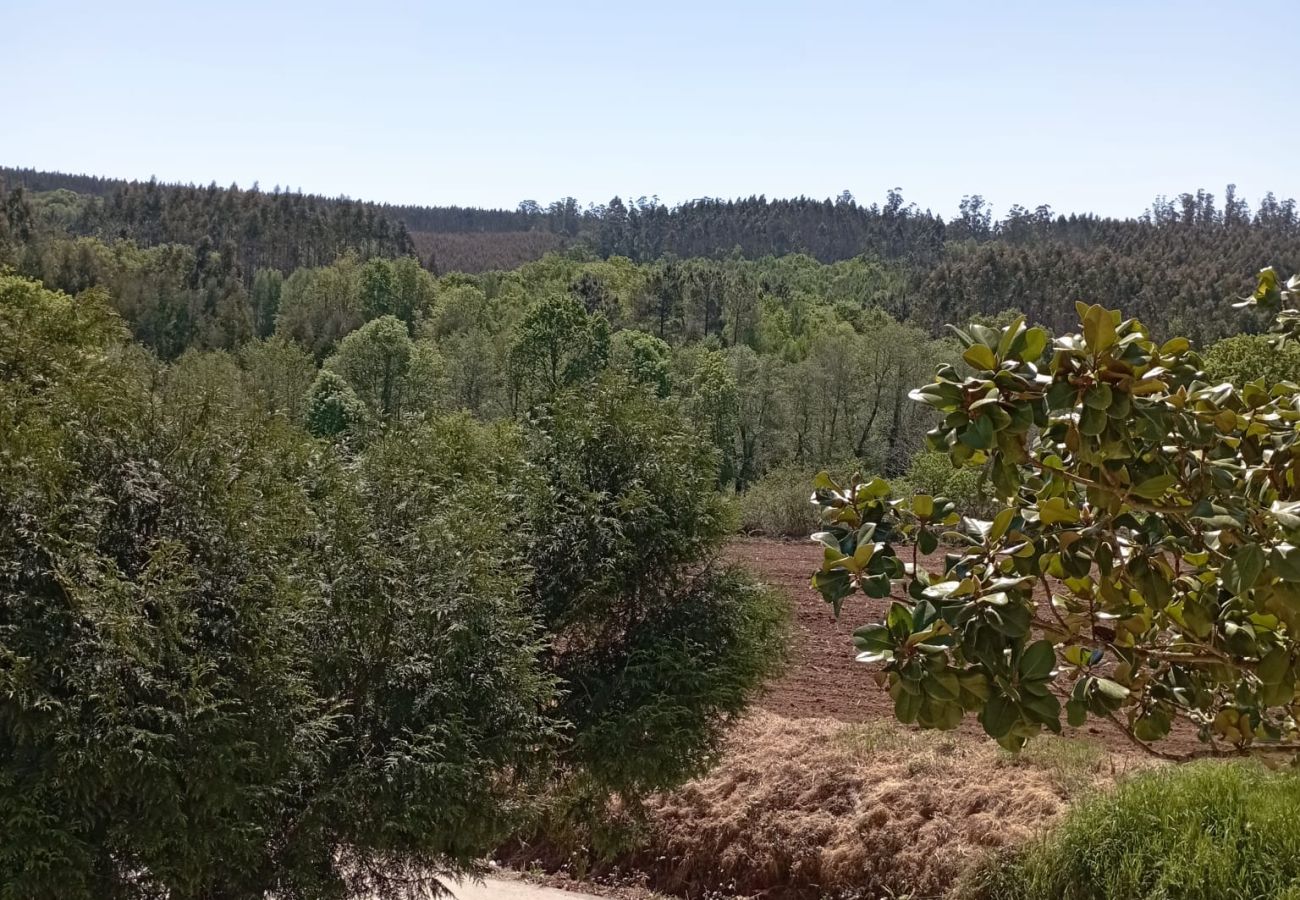 Affitto per camere a Santiago de Compostela - Ordes Habitación 5